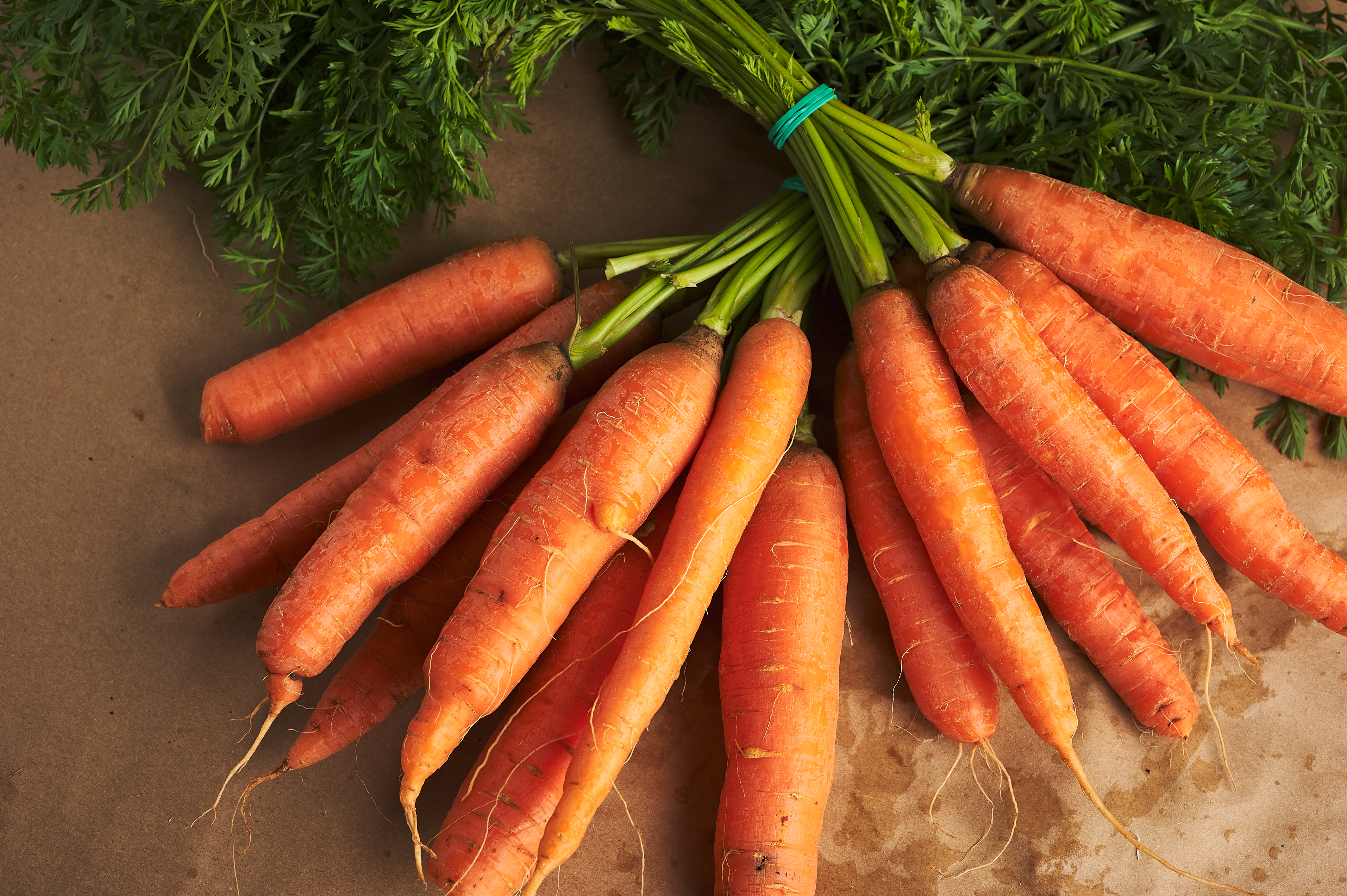 BIO Carrot